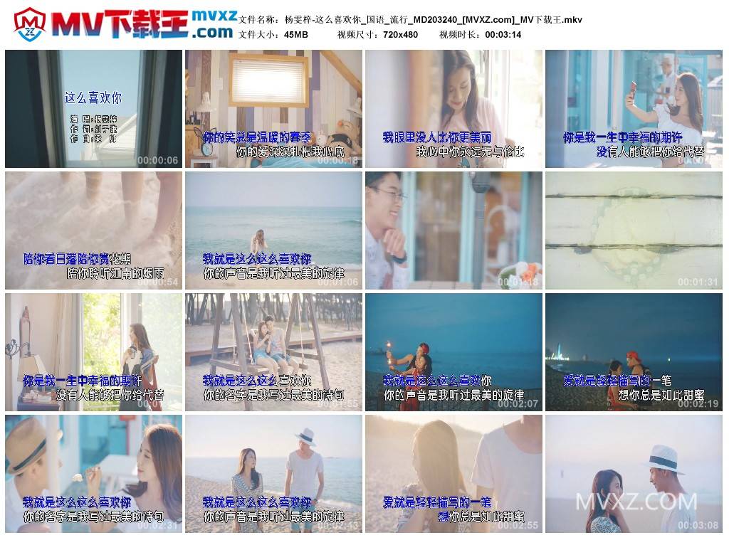 杨雯梓-这么喜欢你_国语_流行_MD203240